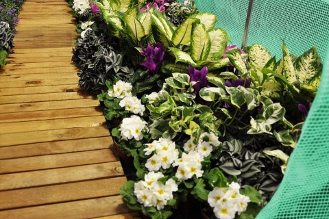 TUNEL FOLIOWY 3 X 4,5 M (13,5 M2) ZIELONY