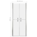 Drzwi prysznicowe, szkło mrożone, ESG, 101x190 cm
