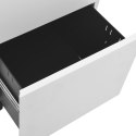 Mobilna szafka kartotekowa, jasnoszara, 39x45x60 cm, stalowa