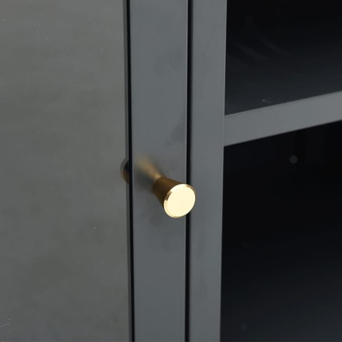 Szafka pod telewizor, antracytowa, 105x35x52 cm, stal i szkło