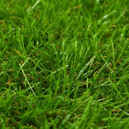 Sztuczny trawnik, 1x10 m; 30 mm, zielony