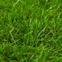 Sztuczny trawnik, 1x15 m; 40 mm, zielony