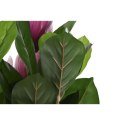Roślina Dekoracyjna DKD Home Decor Różowy Kolor Zielony PE (60 x 60 x 125 cm)
