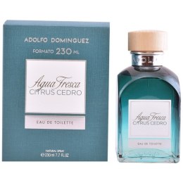 Perfumy Męskie Agua Fresca Citrus Cedro Adolfo Dominguez EDT - 120 ml