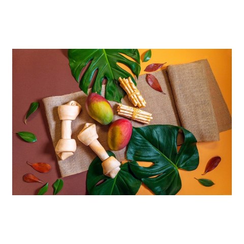 Przekąska dla Psów Gloria Snackys Rawhide 20-23 cm Przekąska dla Psów Gloria Snackys Rawhide 20-23 cm