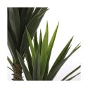 Roślina Dekoracyjna Mica Decorations Yucca (120 x 60 cm)