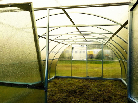 Szklarnia Primus 4x20m 80m2 H=230cm poliwęglan 4mm