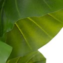 Roślina Dekoracyjna 75 x 60 x 155 cm Kolor Zielony Philodendro