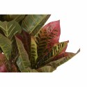 Roślina Dekoracyjna DKD Home Decor Brązowy Polietylen Kolor Zielony 50 x 50 x 140 cm