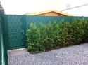 Taśma ogrodzeniowa ROLKA 26mb CLASSIC 19cm PROTECTO ZIELONA
