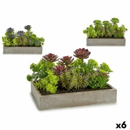 Roślina Dekoracyjna Sukulent Plastikowy Cement 16,5 x 20 x 28,5 cm (6 Sztuk)
