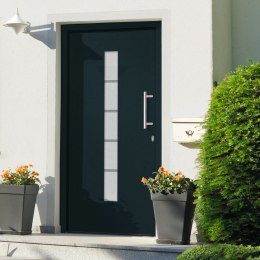 Drzwi zewnętrzne, aluminium i PVC, antracytowe, 100x210 cm