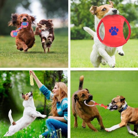 Zestaw szarpaków dla psa DYLAN 10 elementów