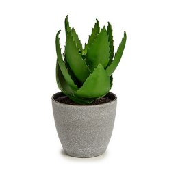 Roślina Dekoracyjna Aloe Vera 15 x 23,5 x 15 cm Szary Kolor Zielony Plastikowy (6 Sztuk)