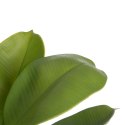 Roślina Dekoracyjna Kolor Zielony PVC Dub 58 cm