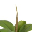 Roślina Dekoracyjna Kolor Zielony PVC Dub 58 cm