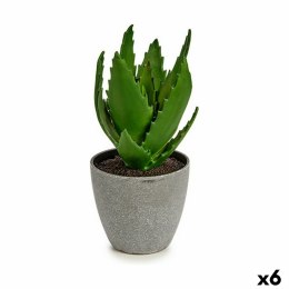 Roślina Dekoracyjna Aloe Vera 14 x 21 x 14 cm Szary Kolor Zielony Plastikowy (6 Sztuk)