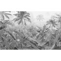 Komar Fototapeta Amazonia, czarno-biała, 400x250 cm