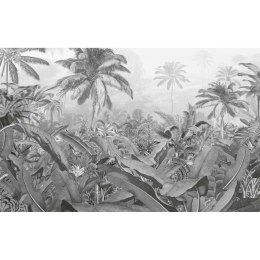 Komar Fototapeta Amazonia, czarno-biała, 400x250 cm