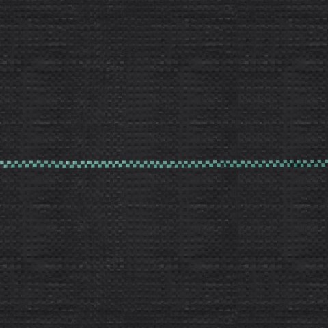 Agrotkanina przeciw chwastom, czarna matowa, 2x100 m, PP