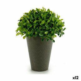 Roślina Dekoracyjna Plastikowy 13 x 16 x 13 cm Kolor Zielony Szary (12 Sztuk)