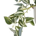 Roślina Dekoracyjna 24 x 35 x 25 cm Biały Kolor Zielony PVC