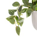 Roślina Dekoracyjna 33 x 33 x 24 cm Biały Kolor Zielony PVC