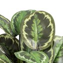 Roślina Dekoracyjna 37 x 37 x 41 cm Kolor Zielony PVC