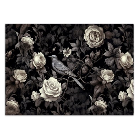 Fototapeta, Szare kwiaty - 368x254