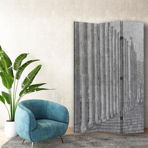 Parawan dwustronny obrotowy, Architektoniczny porządek - 110x170