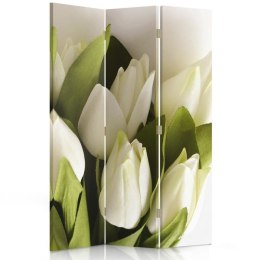 Parawan dwustronny obrotowy, Świeże białe tulipany - 110x170
