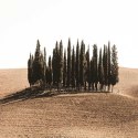 Parawan dwustronny, Toscana - 180x170