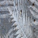 Parawan dwustronny korkowy, Palmowe inspiracje - 180x170