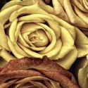 Parawan dwustronny obrotowy, Herbaciane róże - 180x170