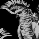 Parawan dwustronny obrotowy, Para Kakadu - 180x170