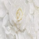 Parawan dwustronny, Białe kwiaty - 180x170