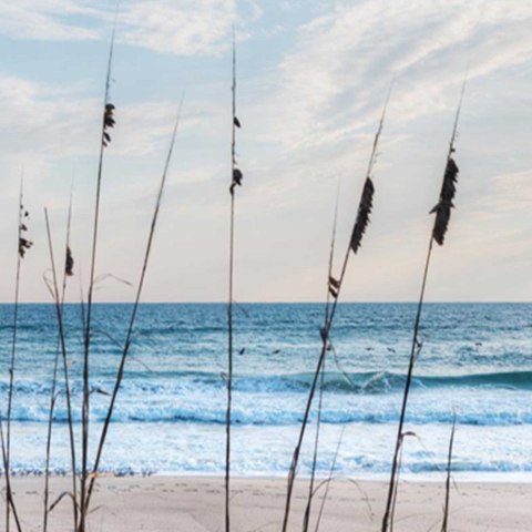 Parawan dwustronny, Wydmy porośnięte trawą - 180x170