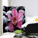 Parawan dwustronny, Zen z kwiatem orchidei - 180x170