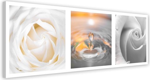 Obraz na płótnie, Róże,kwiaty,krople wody,biały - 150x50