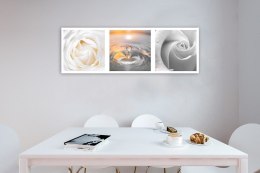 Obraz na płótnie, Róże,kwiaty,krople wody,biały - 90x30