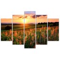Obraz pięcioczęściowy na płótnie, Zachód słońca nad łąką - 100x70