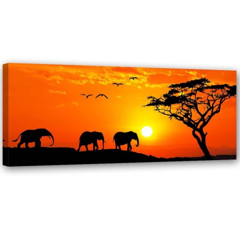 Obraz na płótnie, Panorama sawanny w Afryce - 120x40