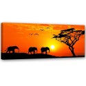Obraz na płótnie, Panorama sawanny w Afryce - 90x30