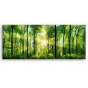 Obraz na płótnie, Promienie słońca w lesie, natura, zielony - 120x40