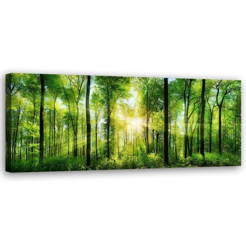 Obraz na płótnie, Promienie słońca w lesie, natura, zielony - 150x50
