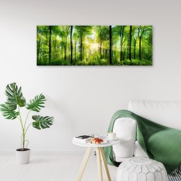 Obraz na płótnie, Promienie słońca w lesie, natura, zielony - 90x30