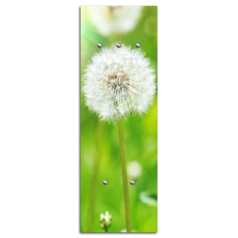 Wieszak, Abstrakcja dmuchawiec - 40x118