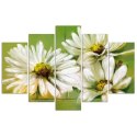 Obraz 5 częściowy na płótnie, Białe kwiaty - 100x70