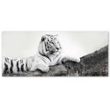 Obraz na płótnie, Czuwający tygrys - 90x30