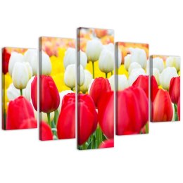 Obraz pięcioczęściowy na płótnie, Białe i czerwone tulipany - 150x100
